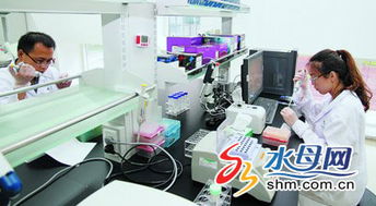 充电2小时能跑250公里 青岛604路公交车换 新